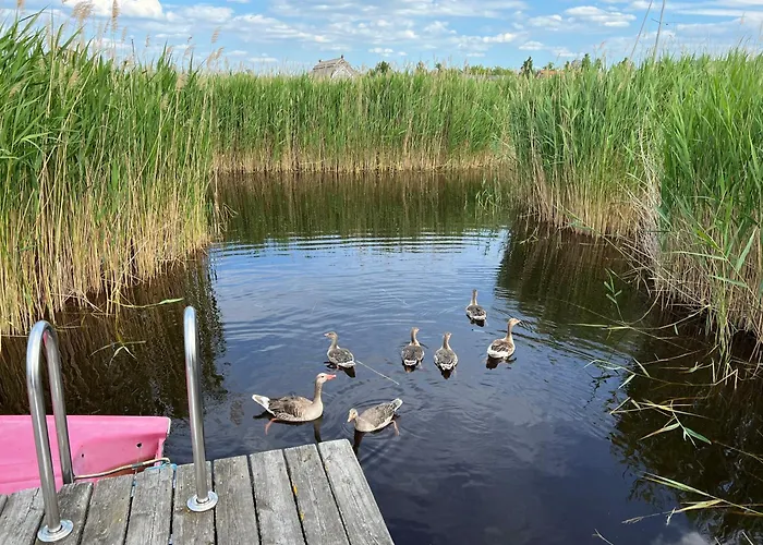 Seehuette Neusiedlersee - Pfahlbau Glamping