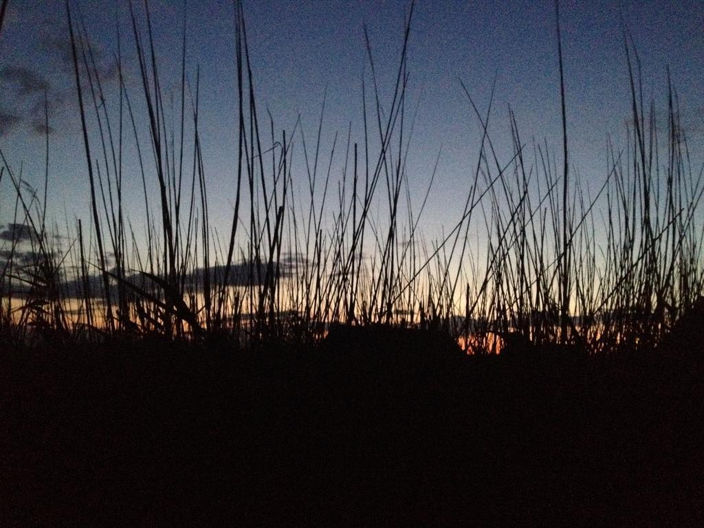 Seehuette Neusiedlersee - Pfahlbau Glamping * Rust